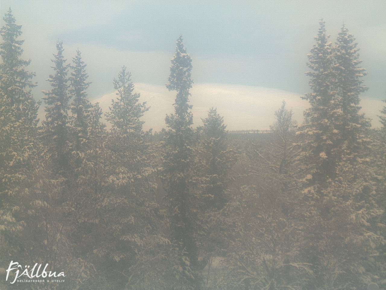 Fjällbua webcam 2024-12-24 10:30