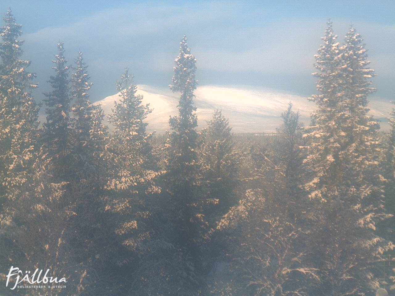 Fjällbua webcam 2024-12-24 11:00