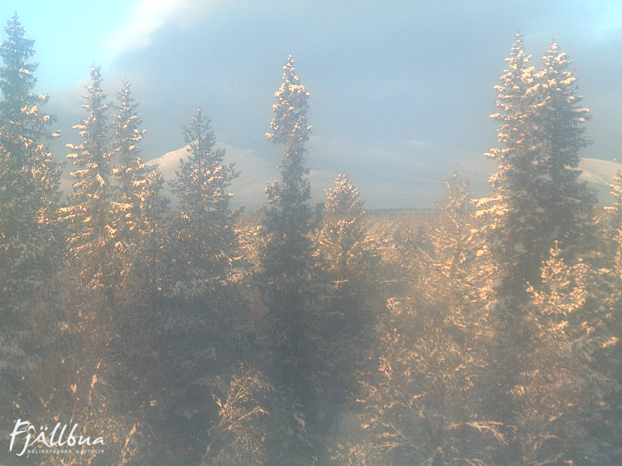 Fjällbua webcam 2024-12-24 11:30