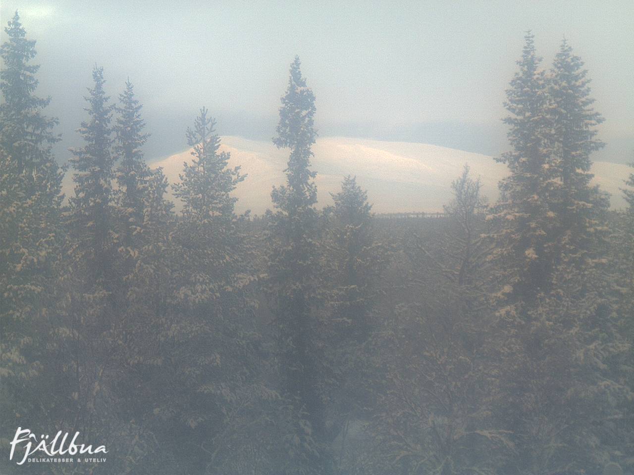 Fjällbua webcam 2024-12-24 12:00