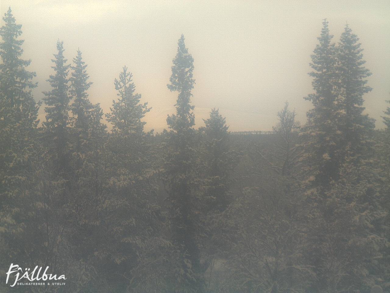 Fjällbua webcam 2024-12-24 12:30