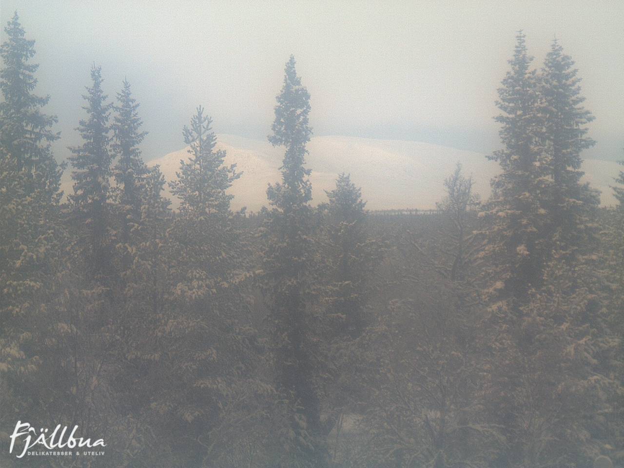 Fjällbua webcam 2024-12-24 14:00