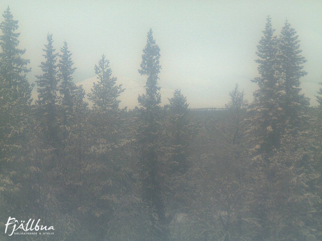 Fjällbua webcam 2024-12-24 14:30