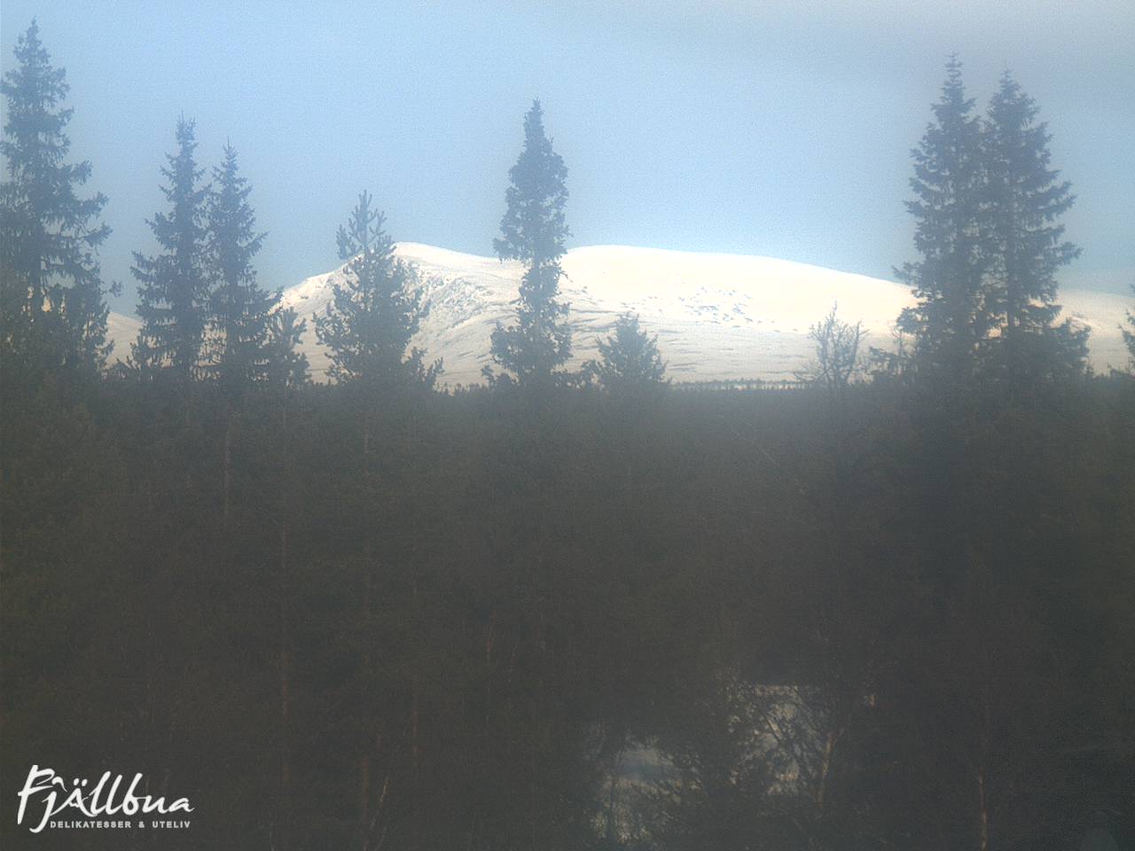 Fjällbua webcam 2025-03-08 09:30