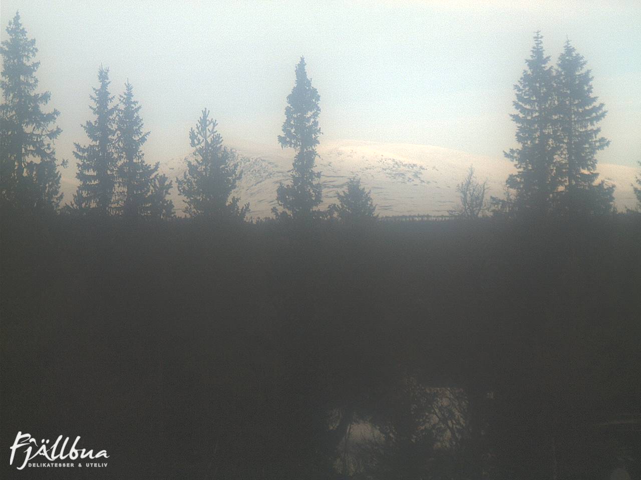Fjällbua webcam 2025-03-08 11:00