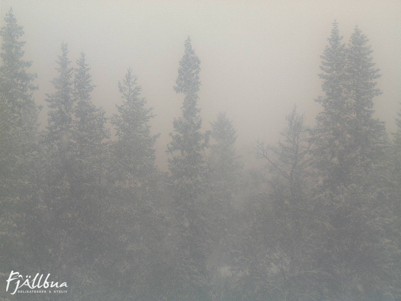 Fjällbua webcam 2025-03-09 11:30