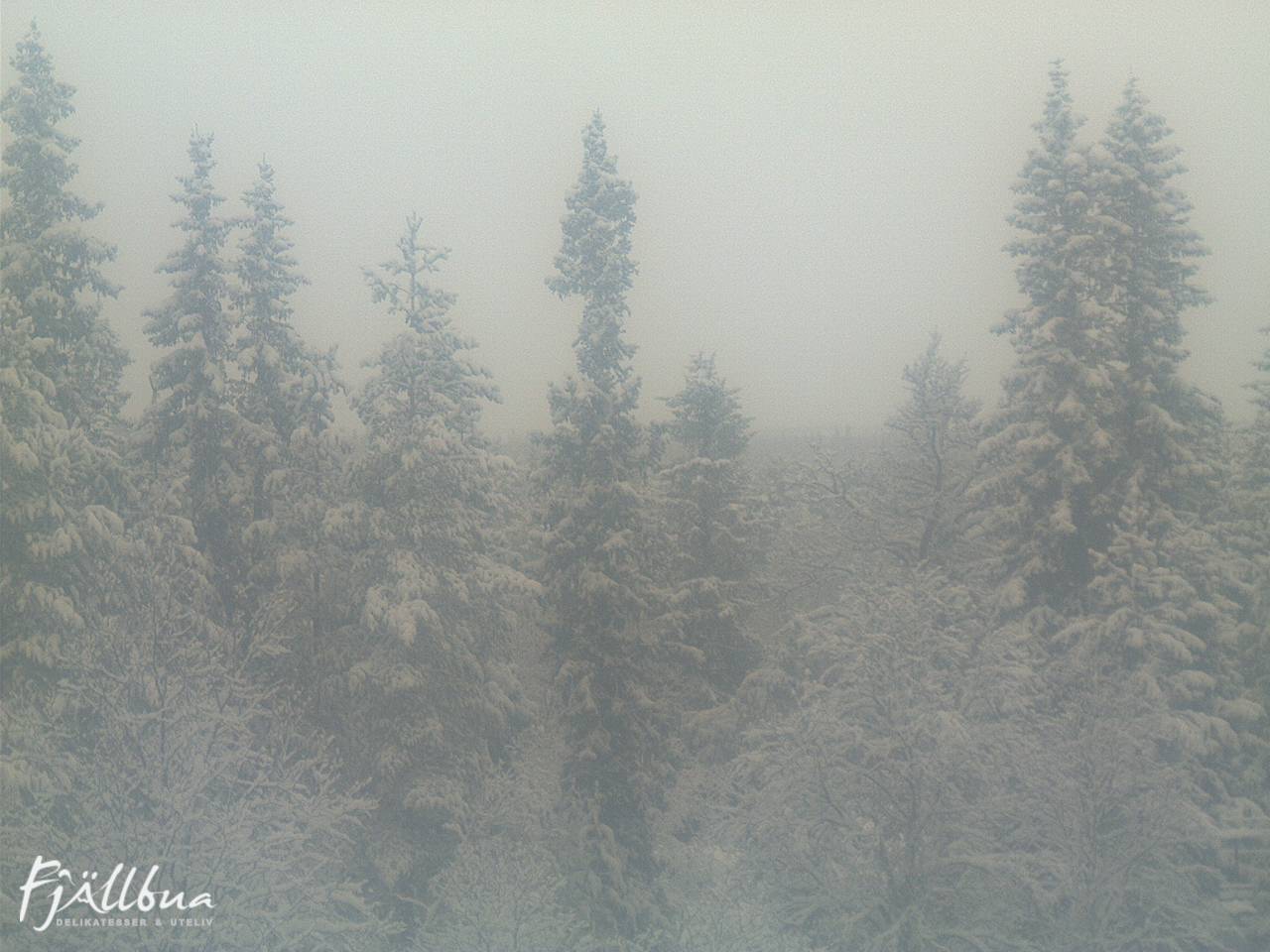 Fjällbua webcam 2025-03-10 09:00