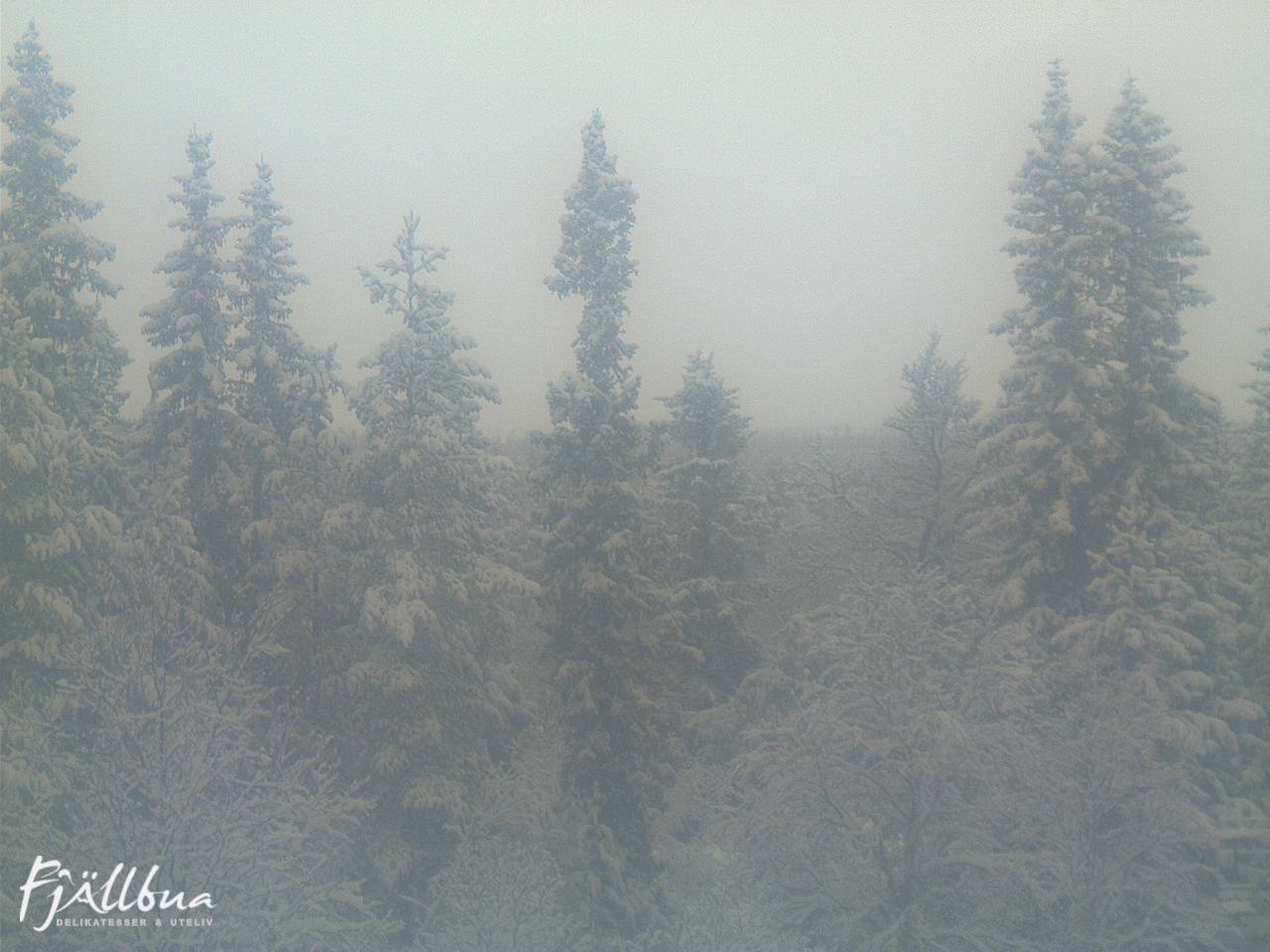 Fjällbua webcam 2025-03-10 09:30