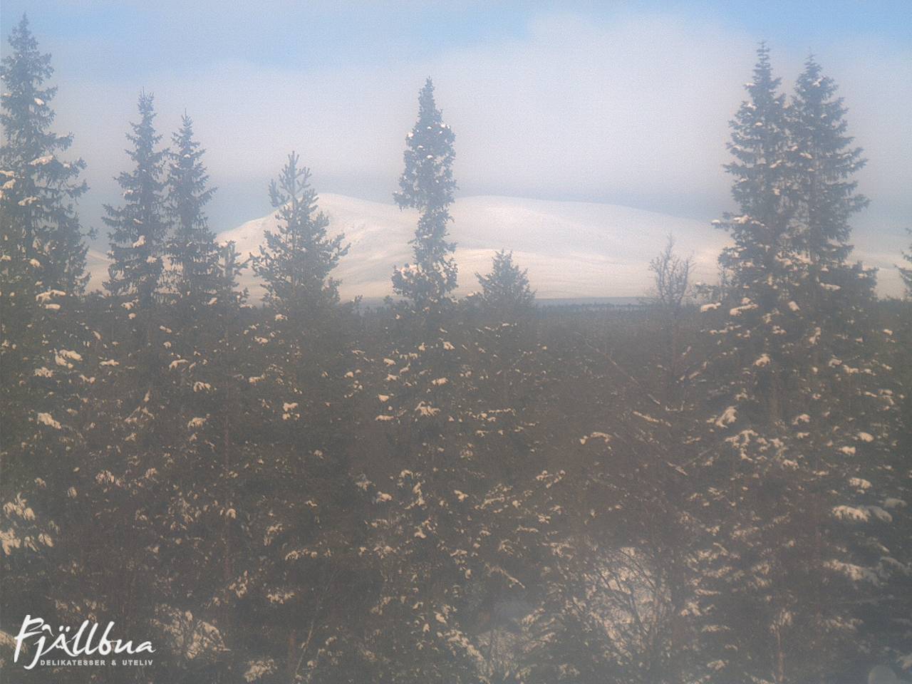 Fjällbua webcam 2025-03-14 10:00