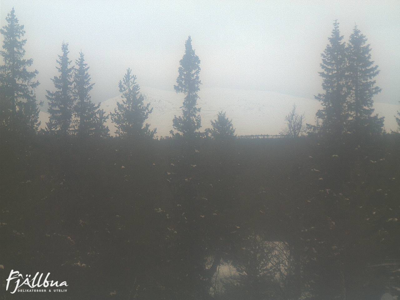 Fjällbua webcam 2025-03-15 11:30