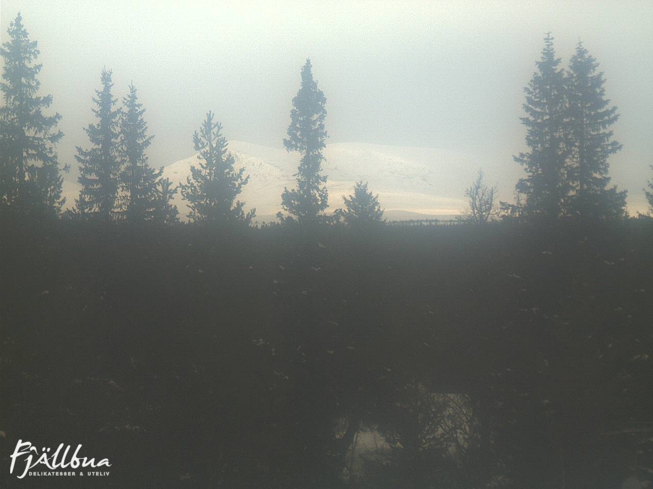 Fjällbua webcam 2025-03-15 14:00