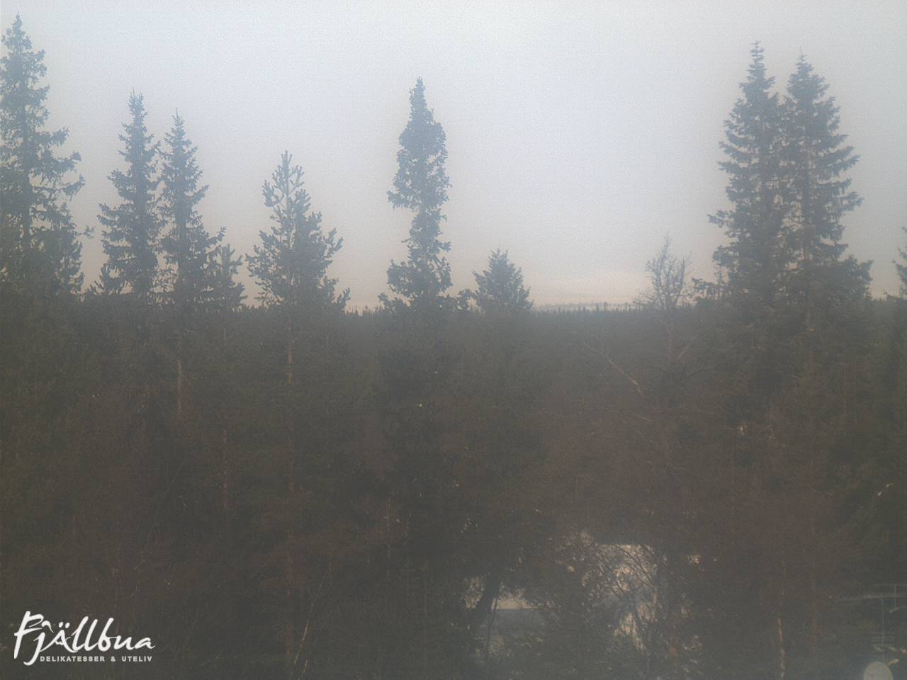 Fjällbua webcam 2025-03-16 11:00