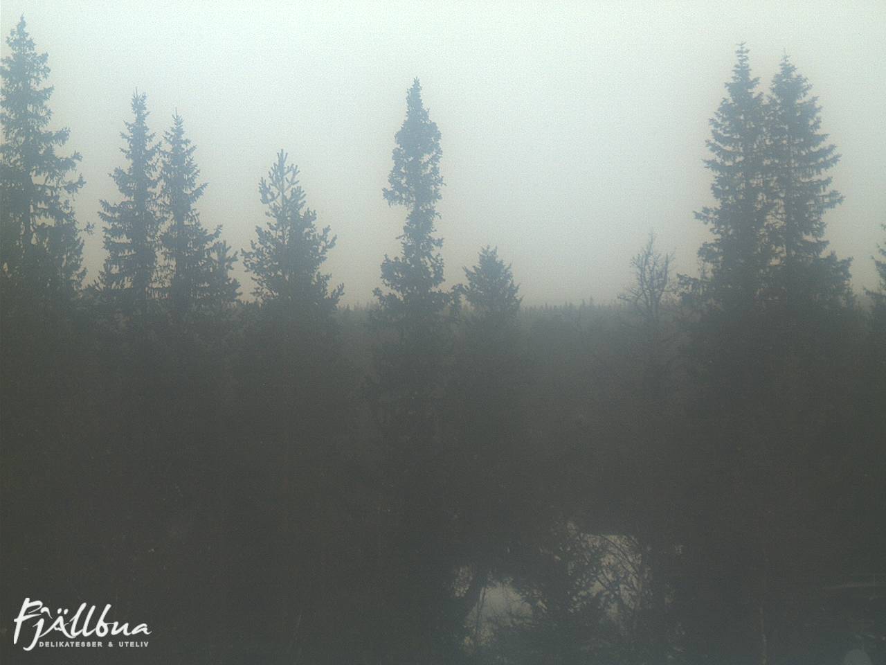 Fjällbua webcam 2025-03-17 09:00