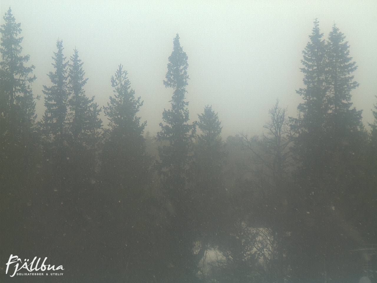 Fjällbua webcam 2025-03-17 09:30