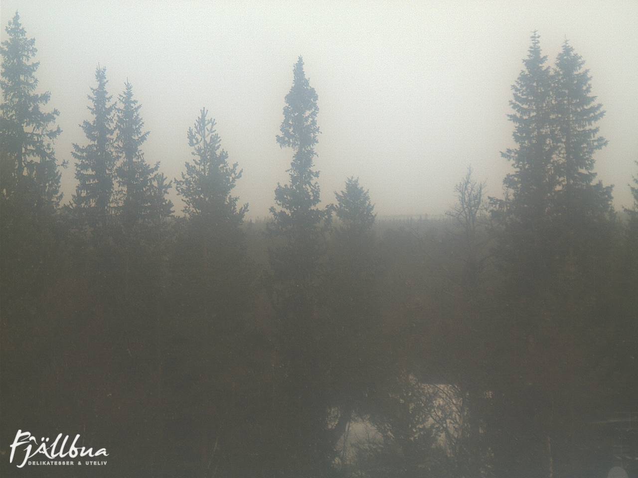 Fjällbua webcam 2025-03-17 10:00