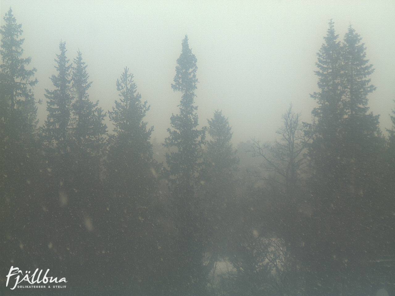 Fjällbua webcam 2025-03-17 10:30