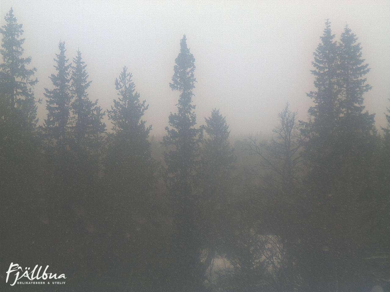 Fjällbua webcam 2025-03-17 11:00
