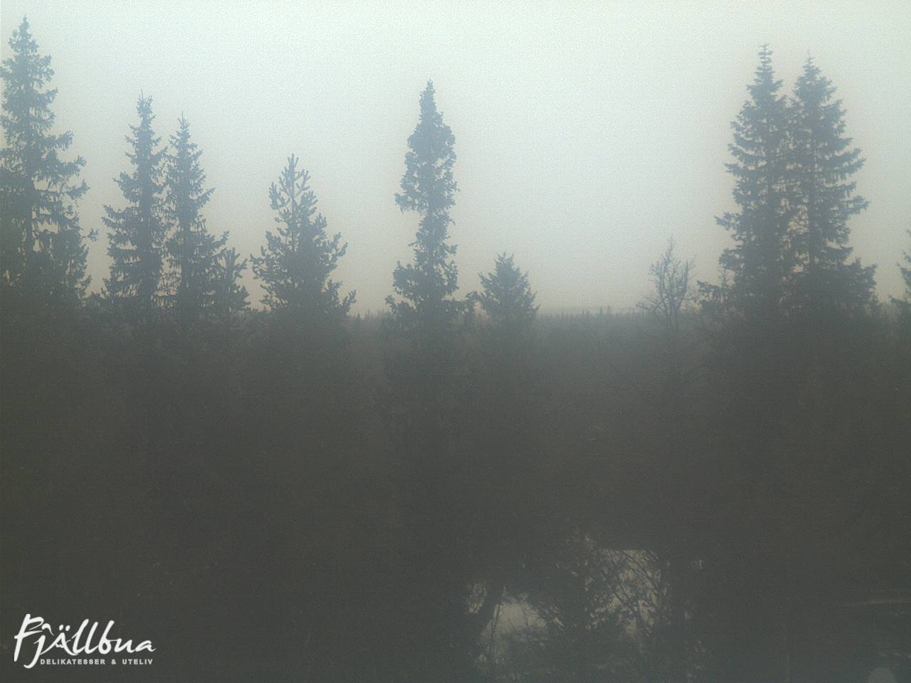 Fjällbua webcam 2025-03-17 11:30