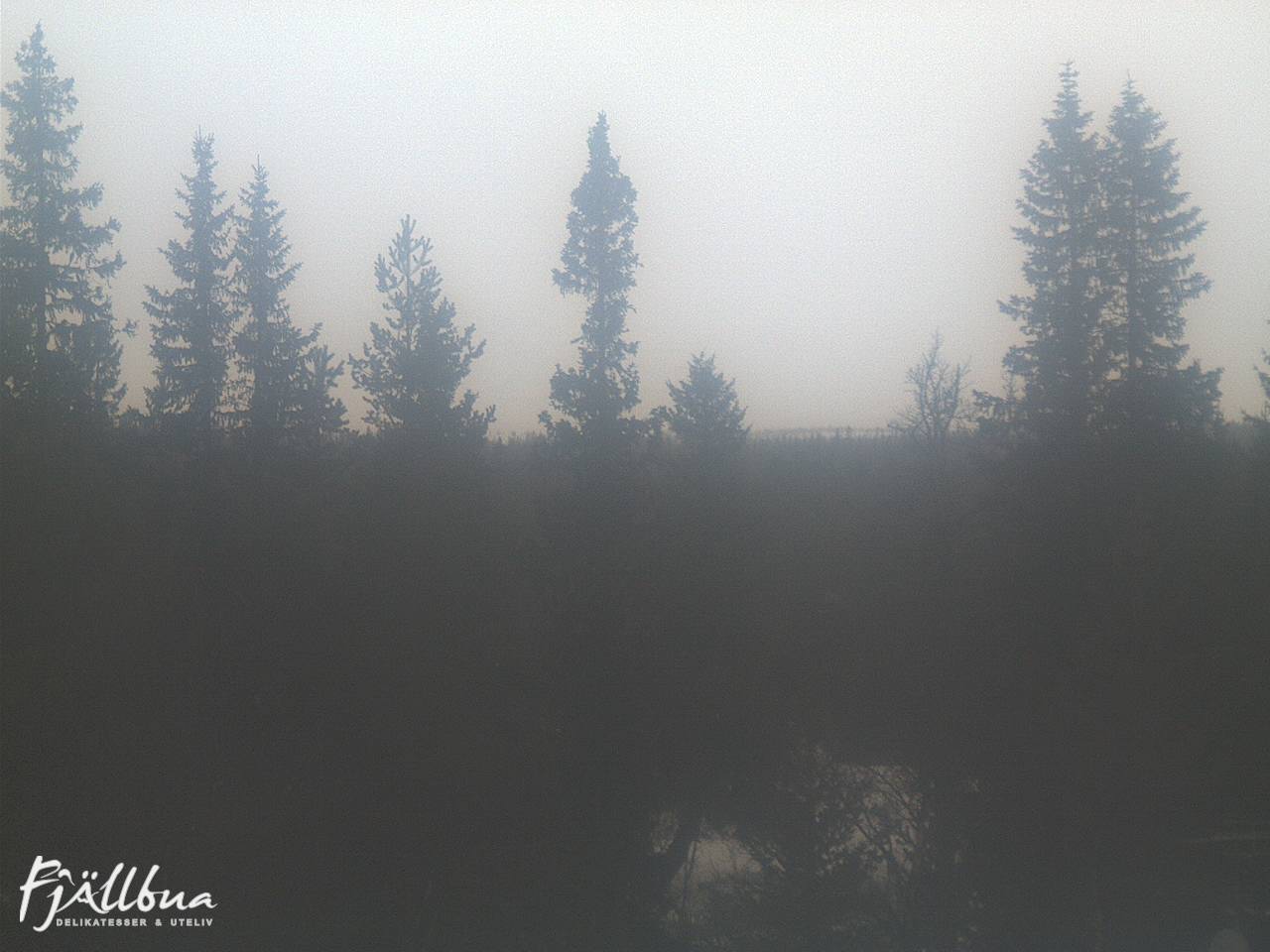 Fjällbua webcam 2025-03-17 12:30