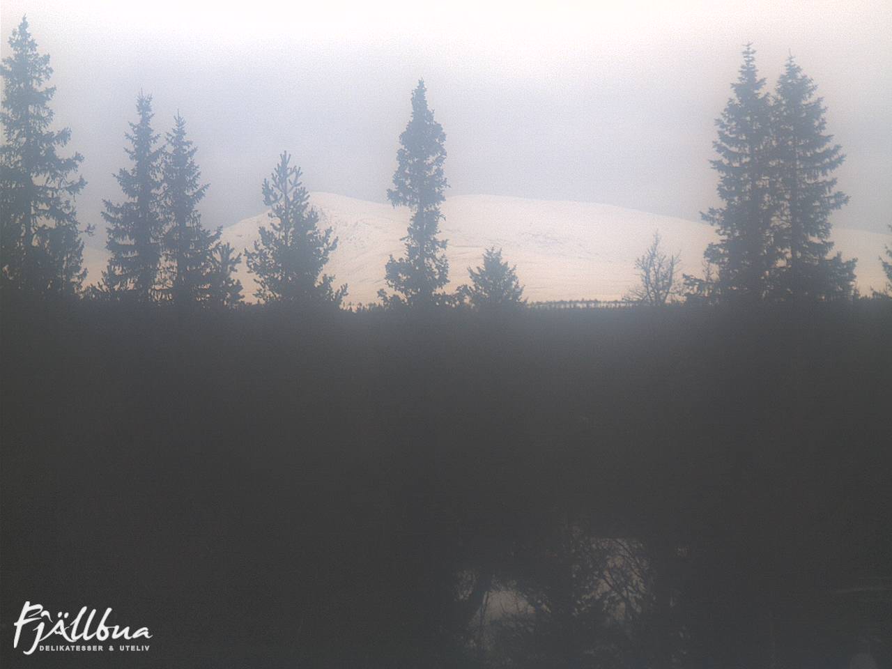 Fjällbua webcam 2025-03-18 09:30
