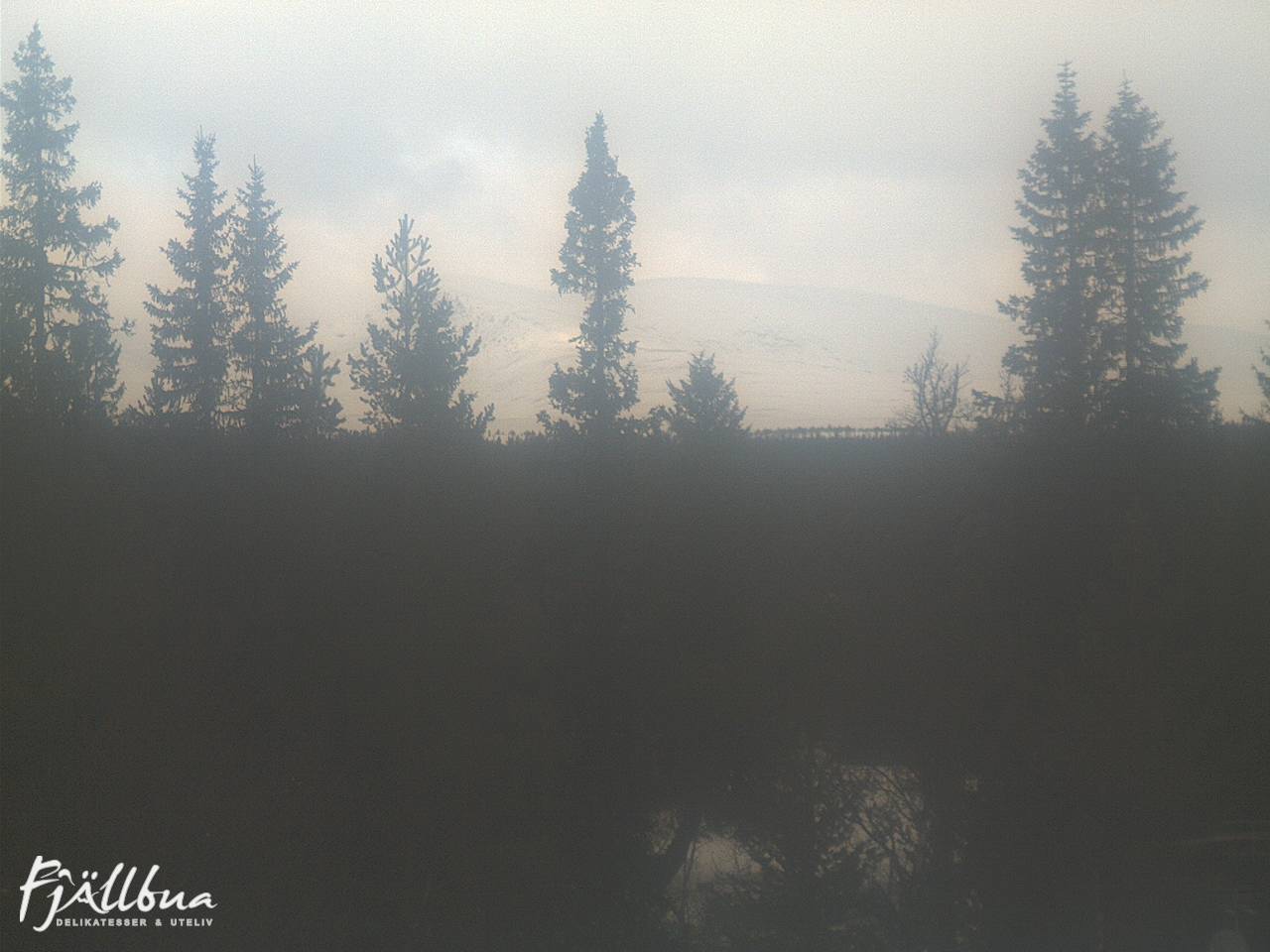 Fjällbua webcam 2025-03-18 10:00