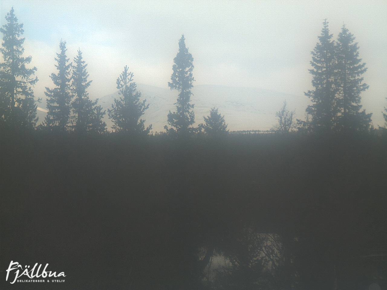 Fjällbua webcam 2025-03-18 10:30