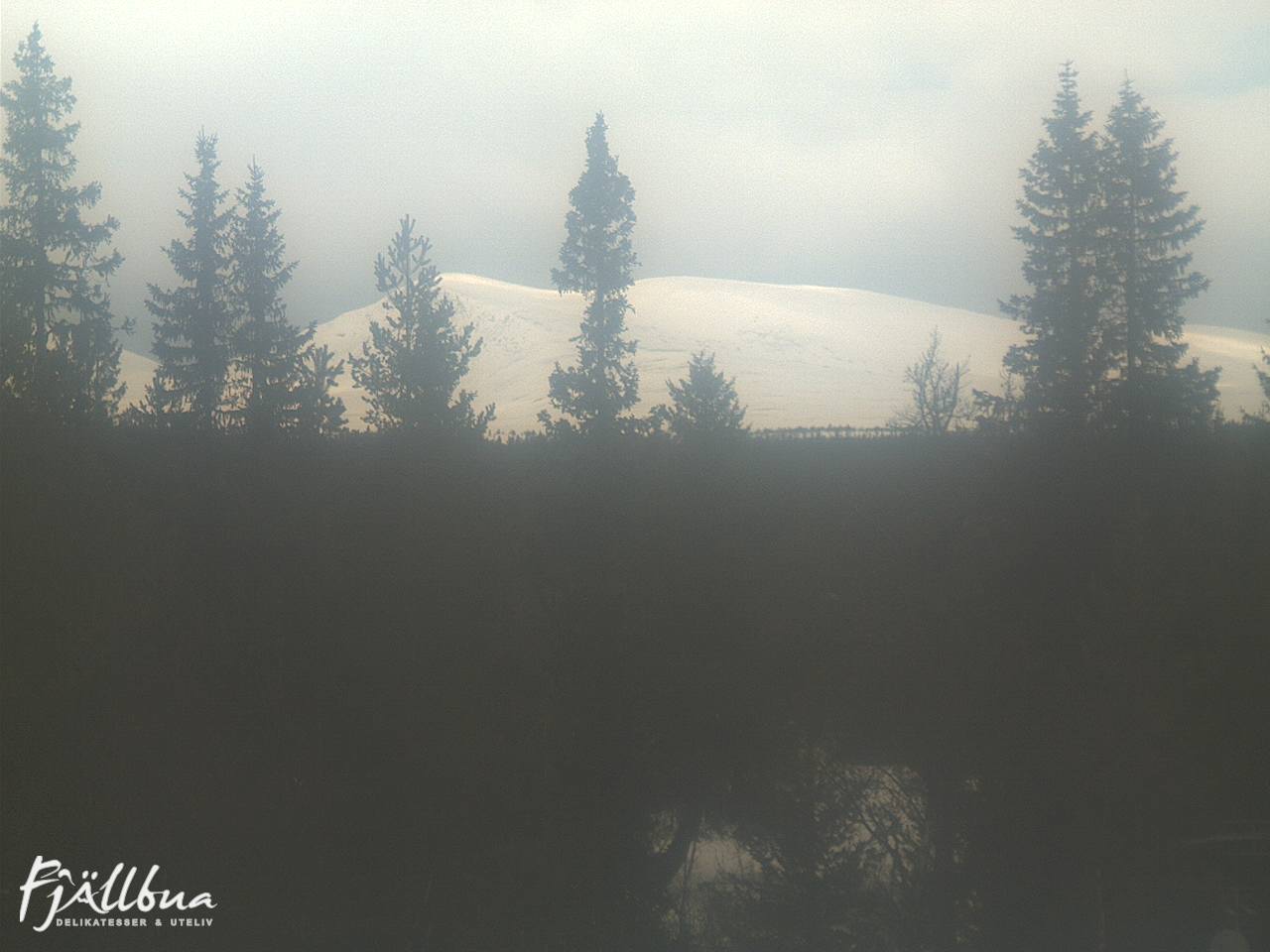 Fjällbua webcam 2025-03-18 11:00