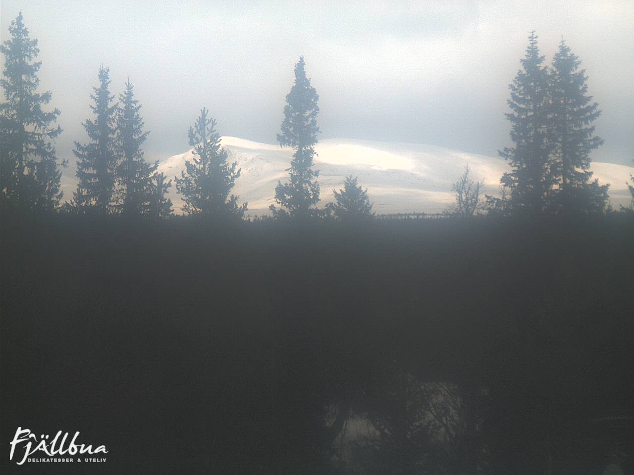 Fjällbua webcam 2025-03-18 11:30