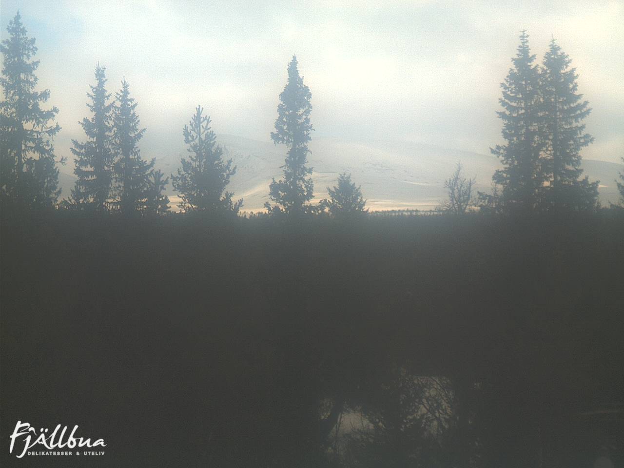 Fjällbua webcam 2025-03-18 12:00