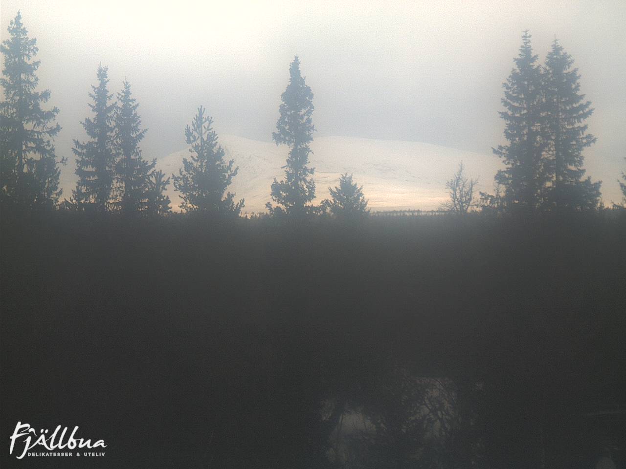 Fjällbua webcam 2025-03-19 10:00