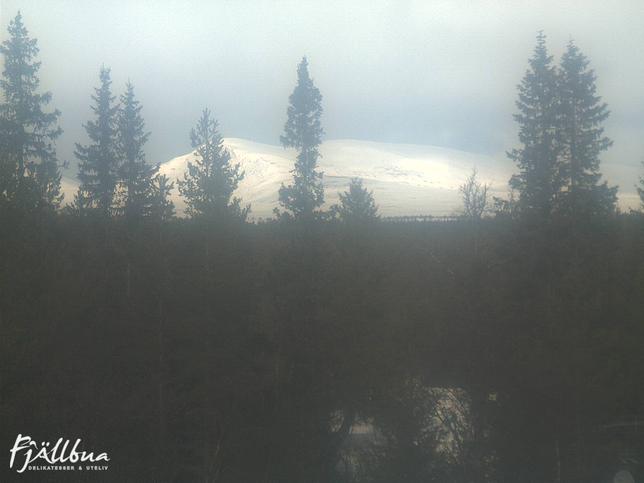 Fjällbua webcam 2025-03-19 10:30