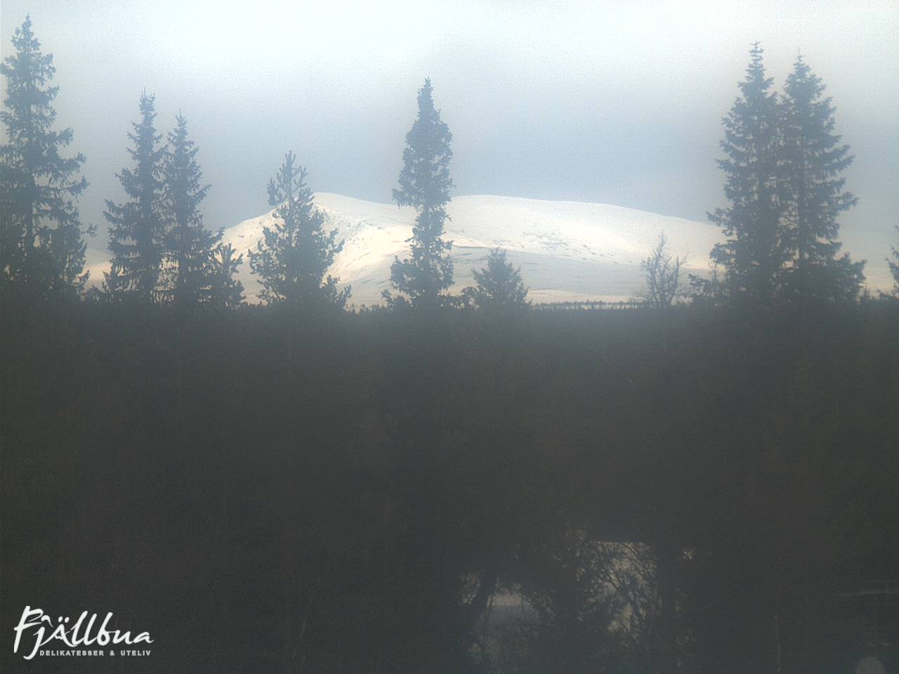 Fjällbua webcam 2025-03-19 11:00