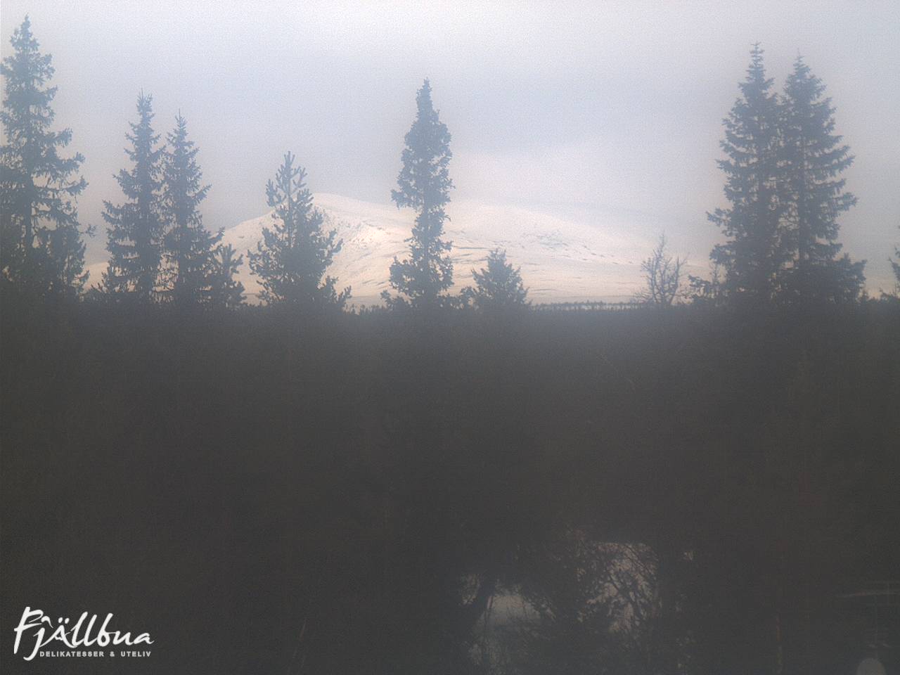 Fjällbua webcam 2025-03-19 11:30