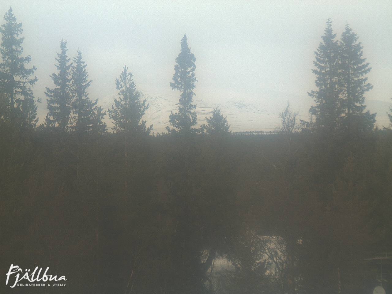 Fjällbua webcam 2025-03-19 12:00