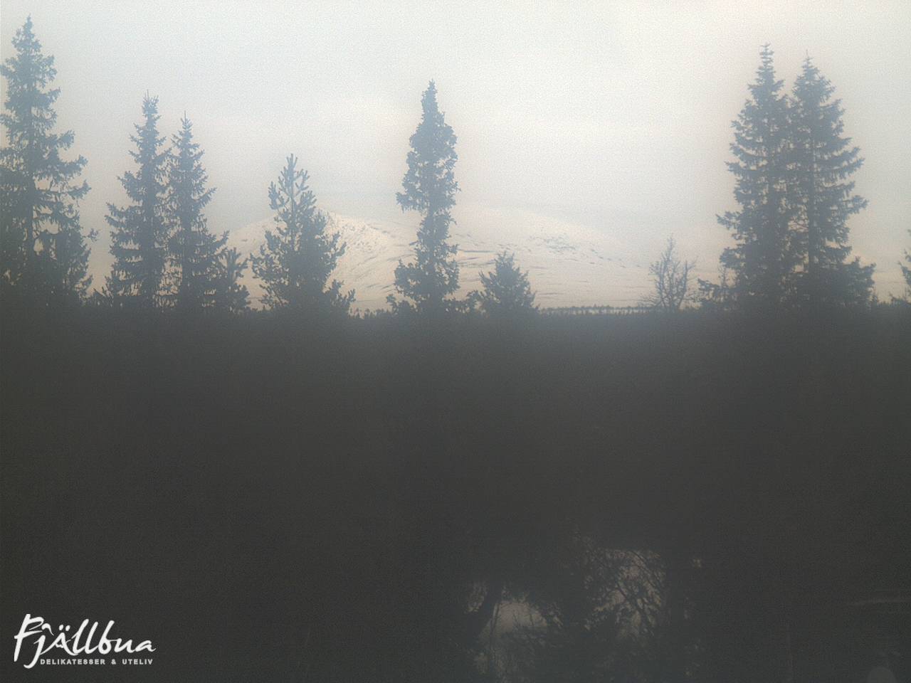 Fjällbua webcam 2025-03-19 12:30