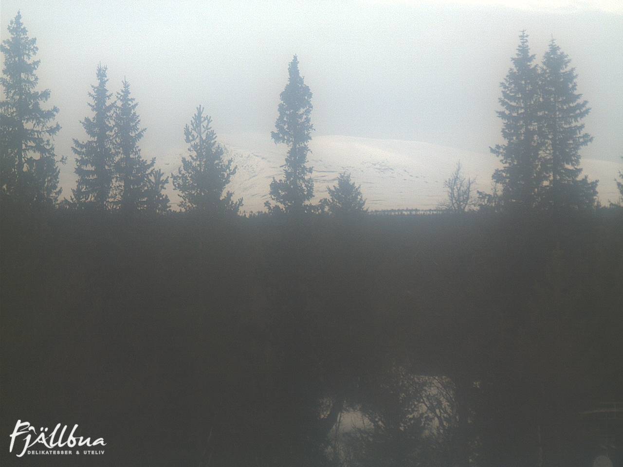 Fjällbua webcam 2025-03-19 13:00