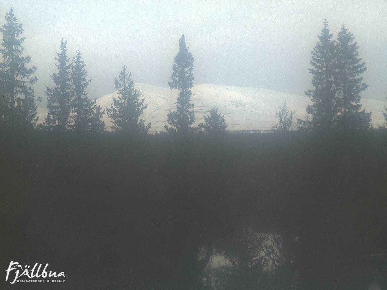 Fjällbua webcam 2025-03-19 13:30