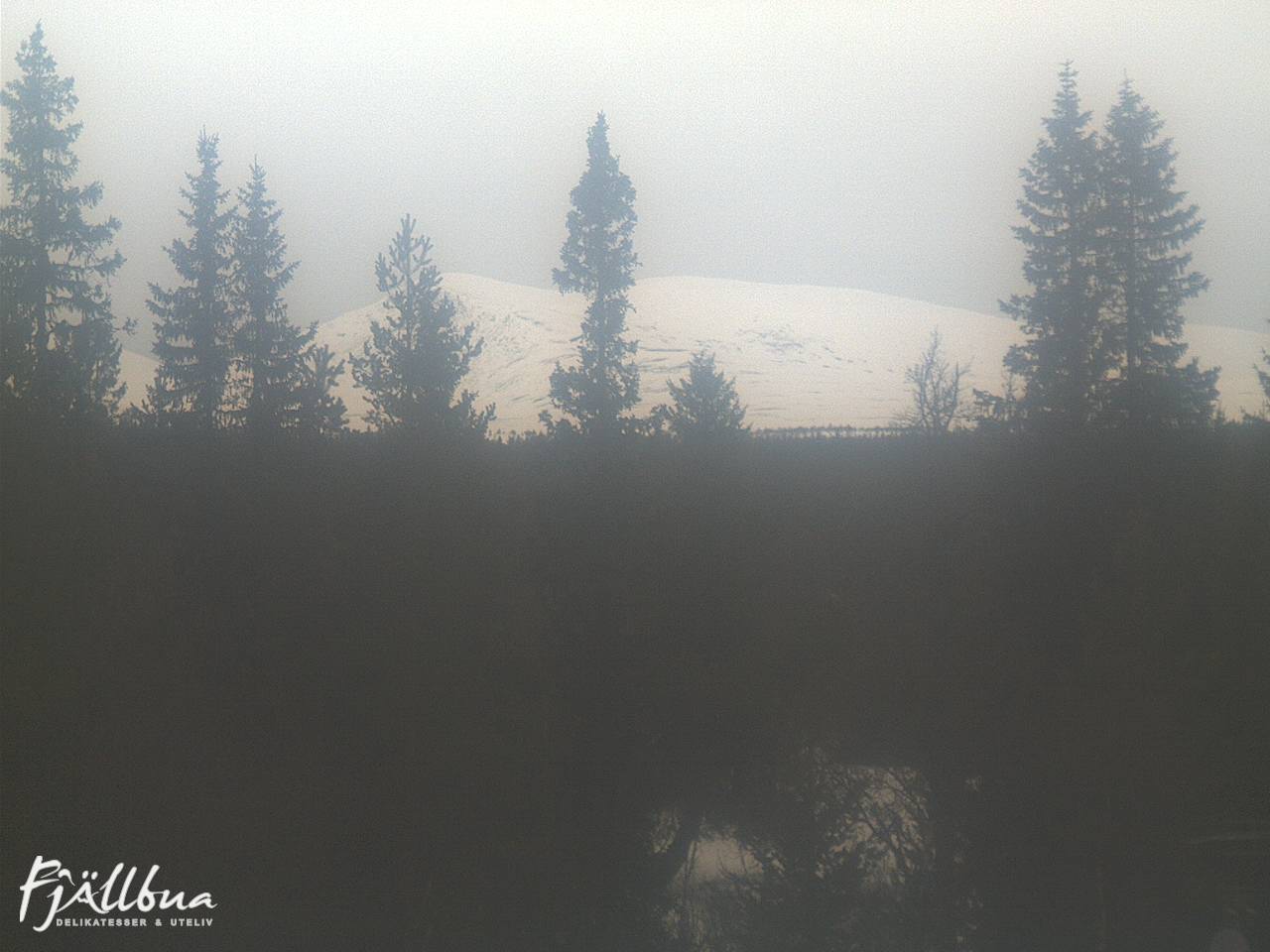 Fjällbua webcam 2025-03-19 14:00