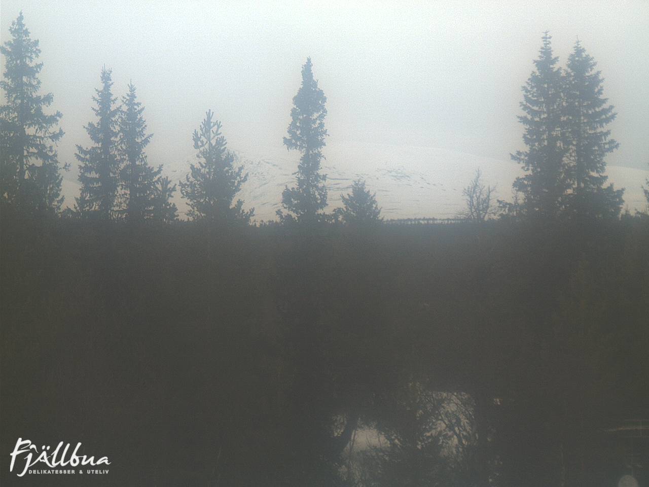 Fjällbua webcam 2025-03-19 14:30