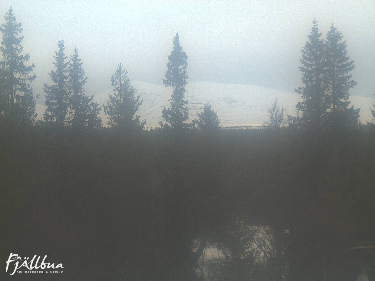 Fjällbua webcam 2025-03-19 15:00