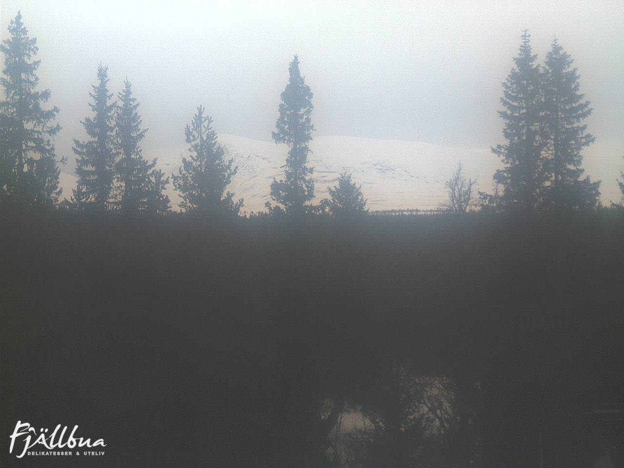 Fjällbua webcam 2025-03-19 15:30
