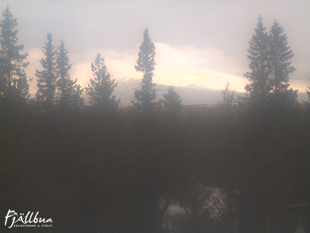 Fjällbua webcam 2025-03-20 10:00
