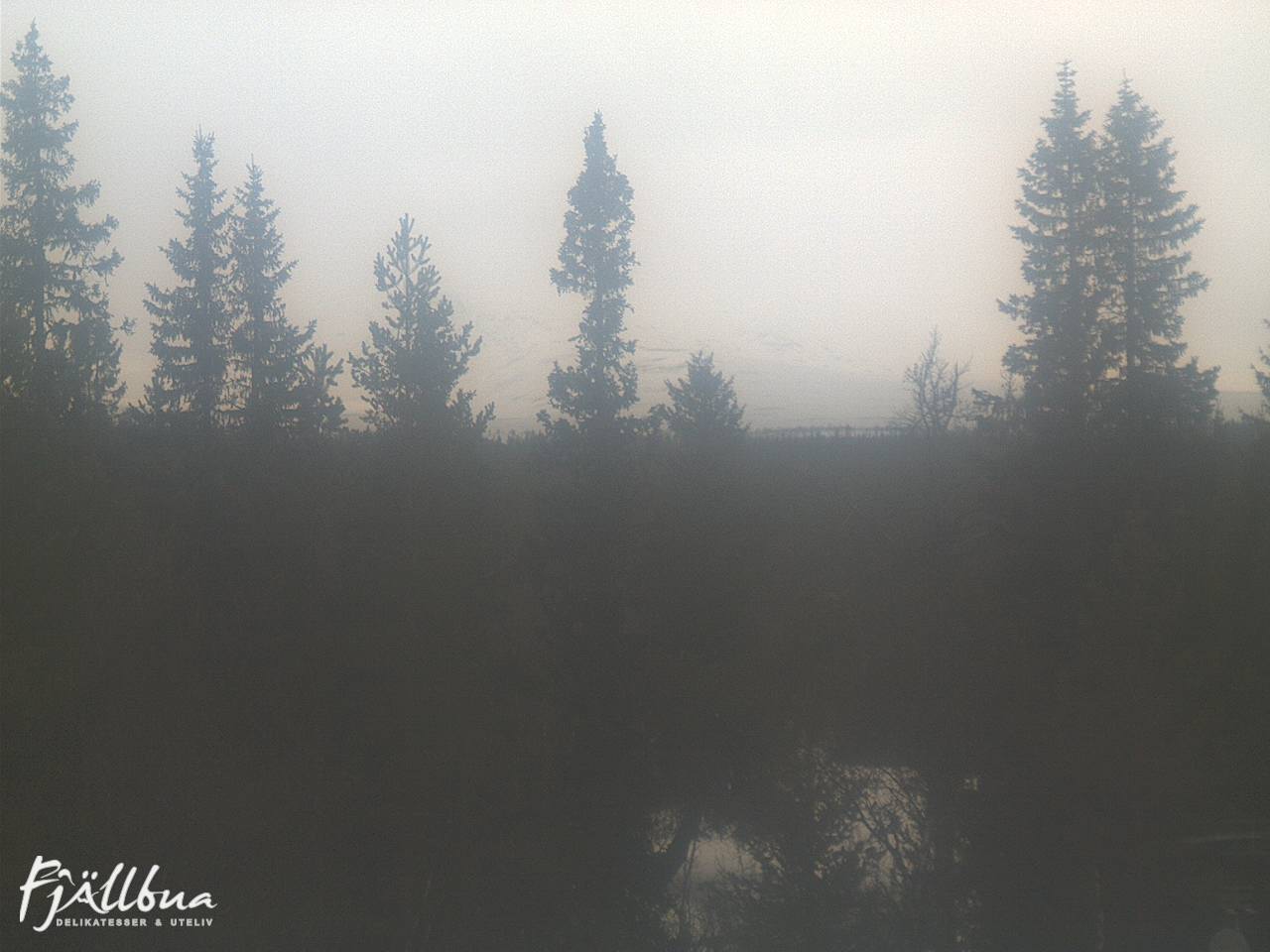 Fjällbua webcam 2025-03-20 11:00