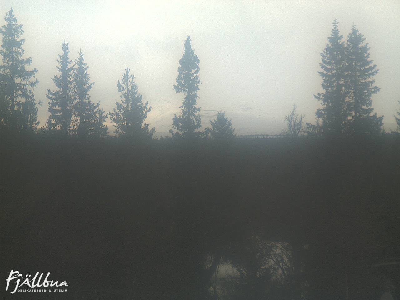 Fjällbua webcam 2025-03-20 11:30
