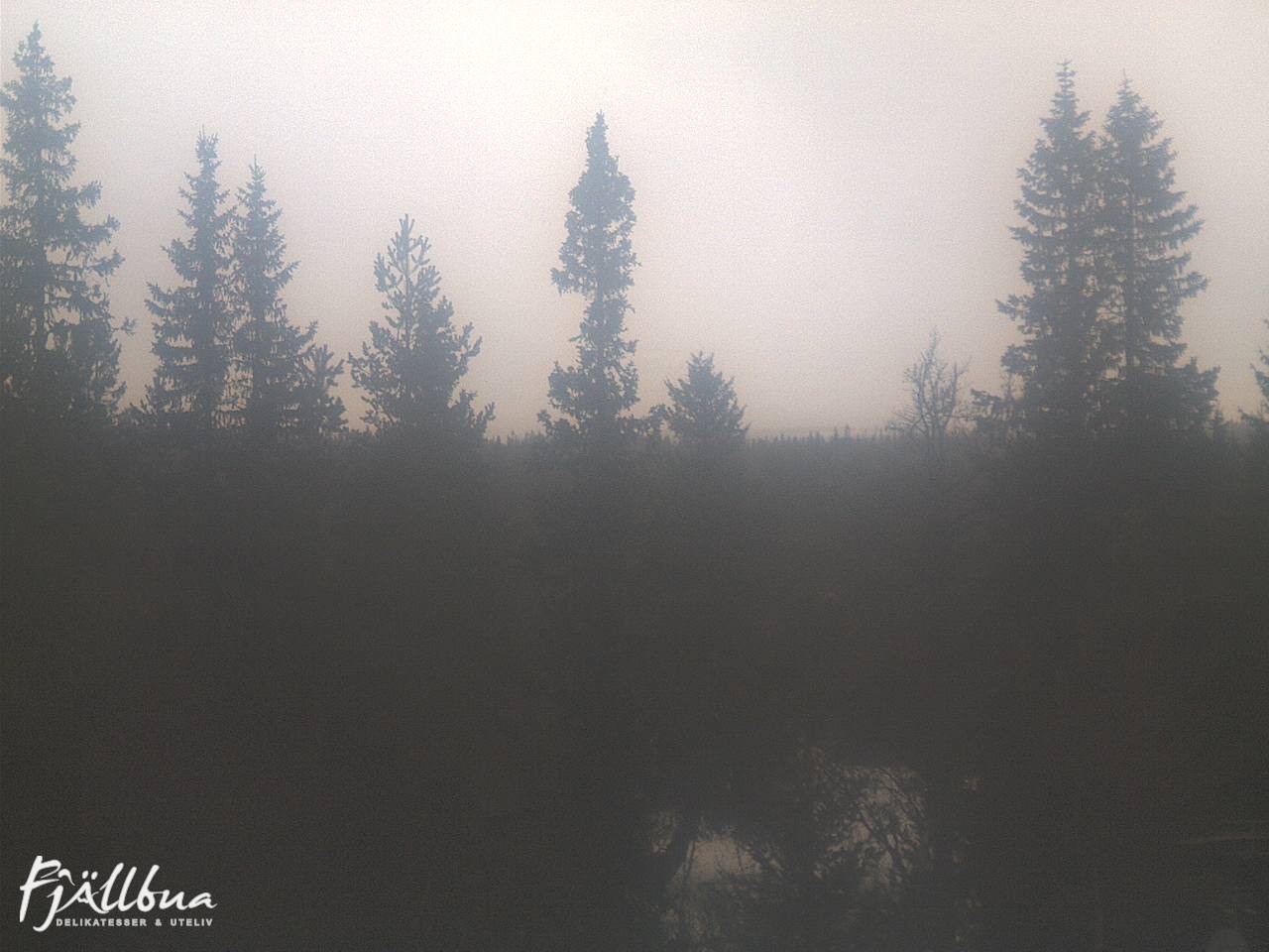 Fjällbua webcam 2025-03-20 12:30