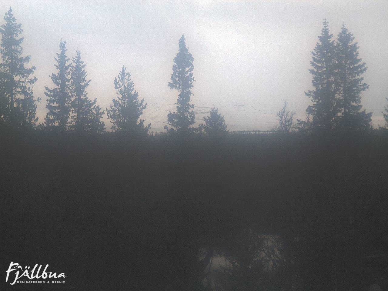 Fjällbua webcam 2025-03-20 13:00