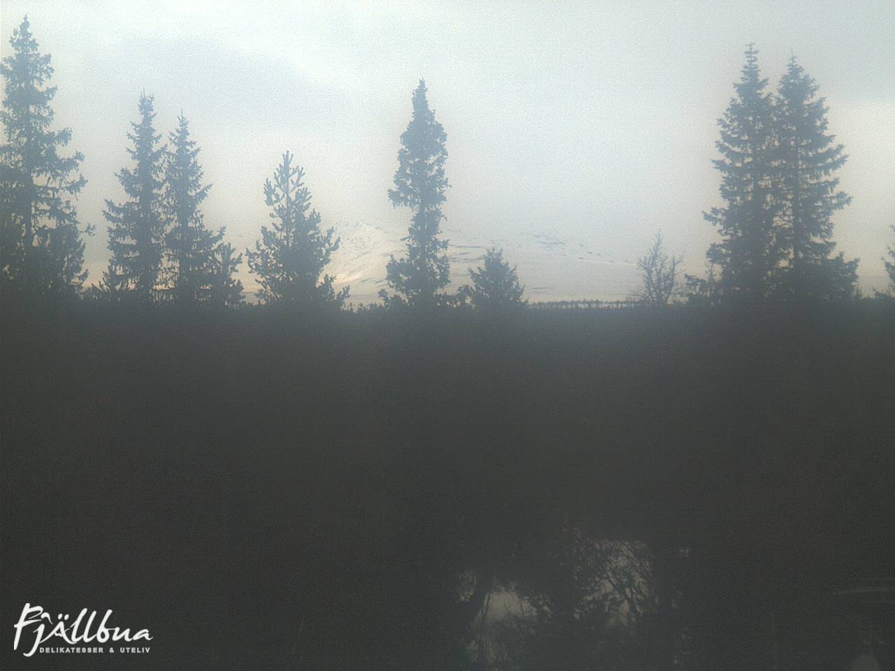 Fjällbua webcam 2025-03-20 13:30