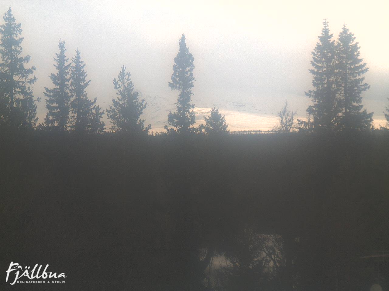 Fjällbua webcam 2025-03-20 14:30