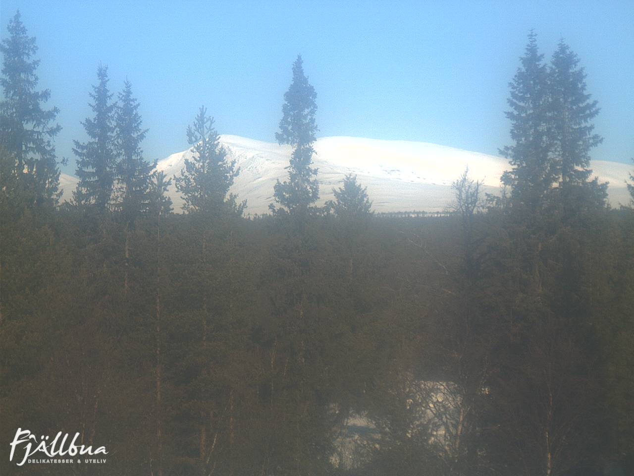 Fjällbua webcam 2025-03-21 09:30