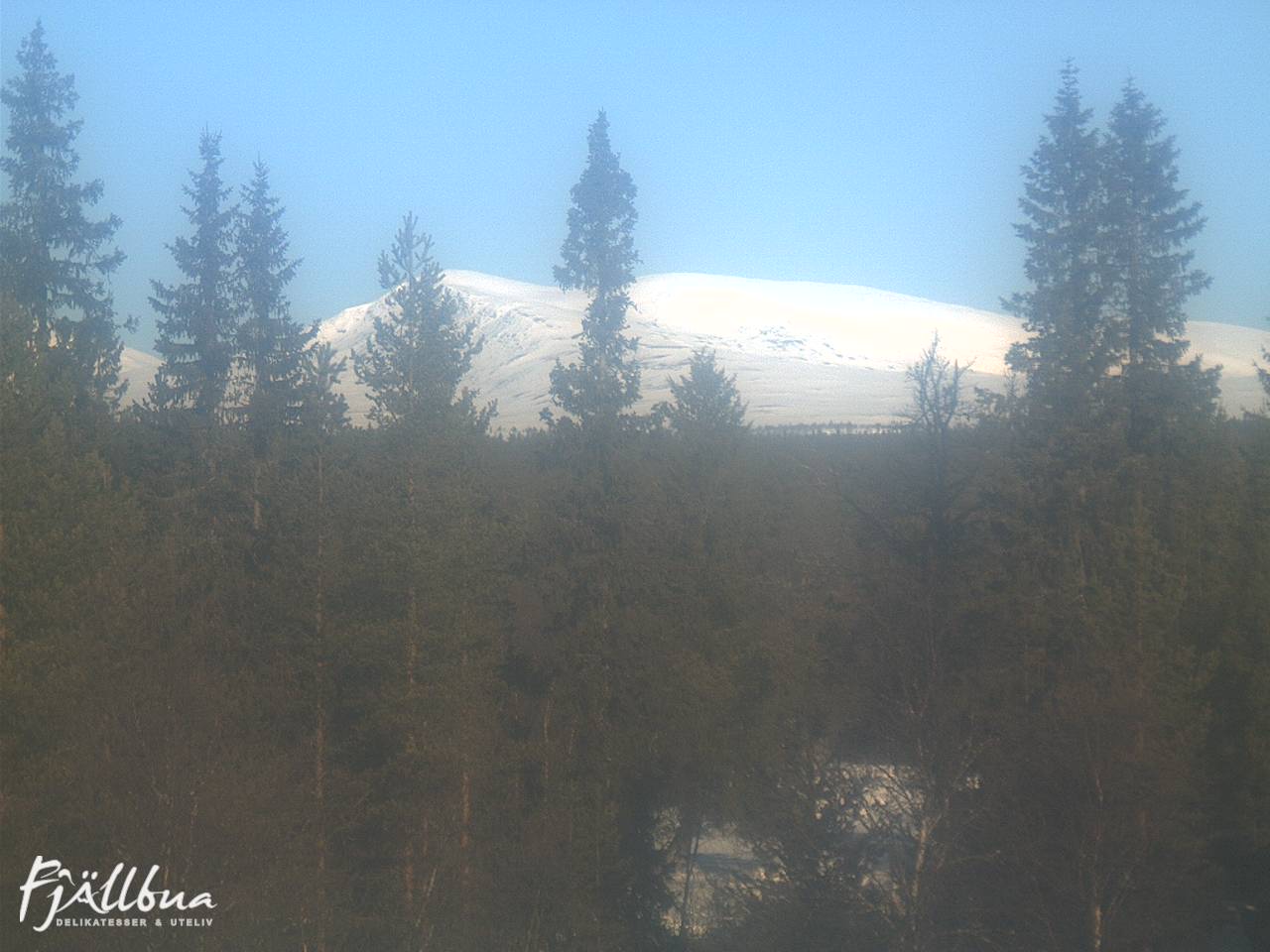 Fjällbua webcam 2025-03-23 09:00